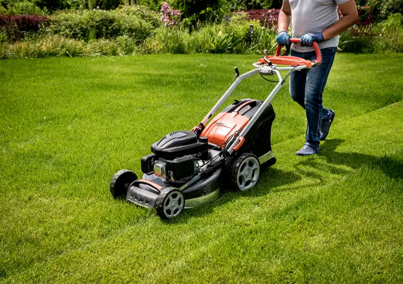 Lawn Mowing & Grass Cutting in Adelaide — before and after by Adelaide Pressure Washing