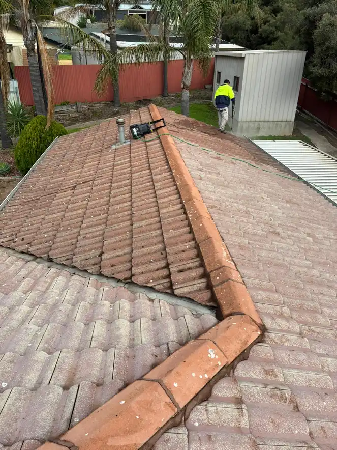 Soft Wash in Adelaide — before and after by Adelaide Pressure Washing